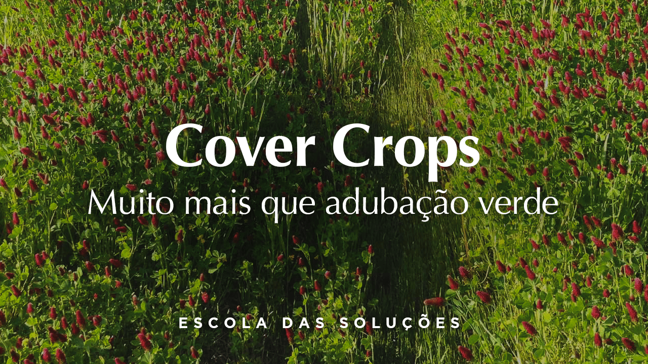 Curso online de Cover-Crops