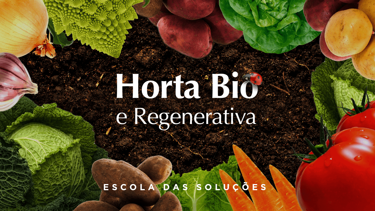 Curso online Horta Bio e regenerativa